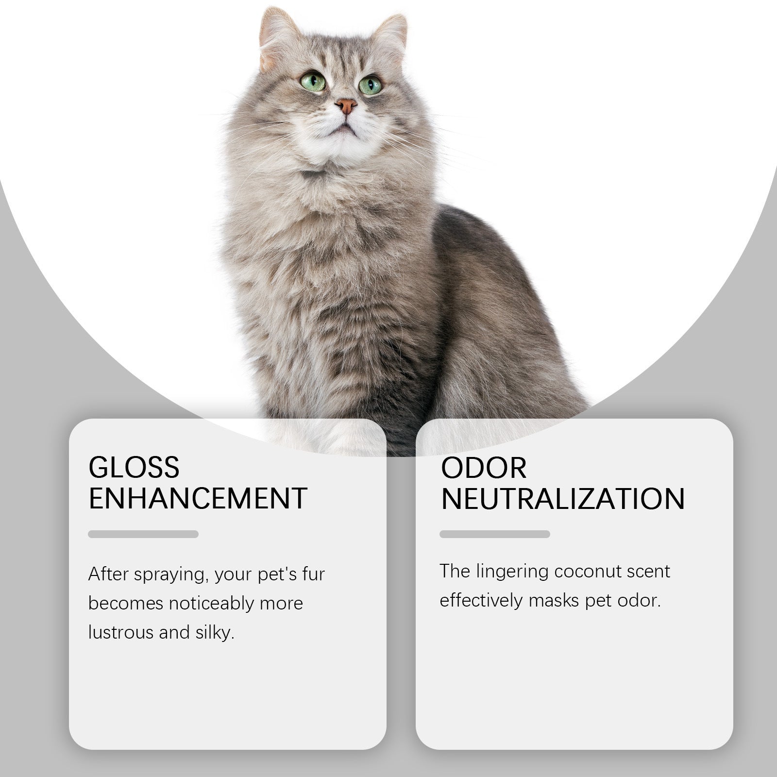 Dog Detangling Spray with Coconut Scent