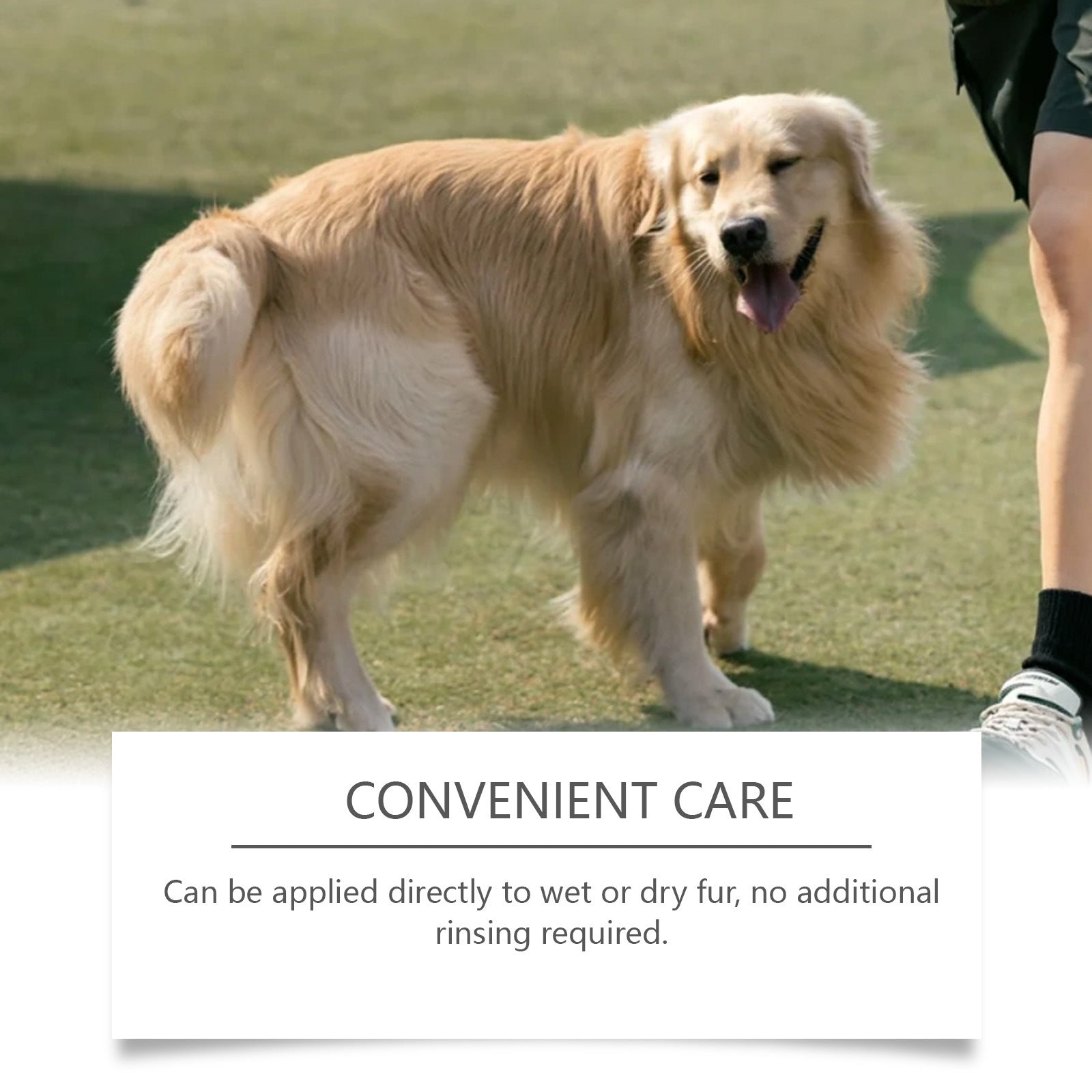 Dog Detangling Spray with Coconut Scent